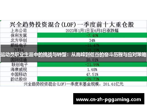 运动员职业生涯中的挑战与转型:从高峰到低谷的奋斗历程与应对策略 运动员职业生涯中的挑战与转型:从高峰到低谷的奋斗历程与应对策略