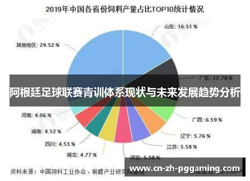 阿根廷足球联赛青训体系现状与未来发展趋势分析